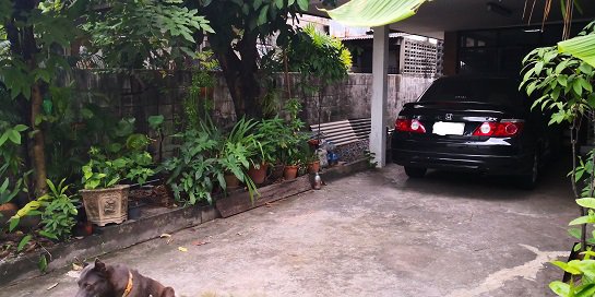 ขายบ้านเดี่ยว-2-ชั้น-ทำเลดีมาก-80-ตรว-เสนานิเวศน์-โครงการ-1-ใกล้เกษตร-นวมินทร์