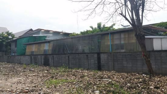 ให้เช่าที่ดิน-151-ตรว-ถพระรามเก้า-ใกล้ห้างเดอะไนน์-ทำเลดี-เช่า-28000-บ-ด-โทร-093-9594717