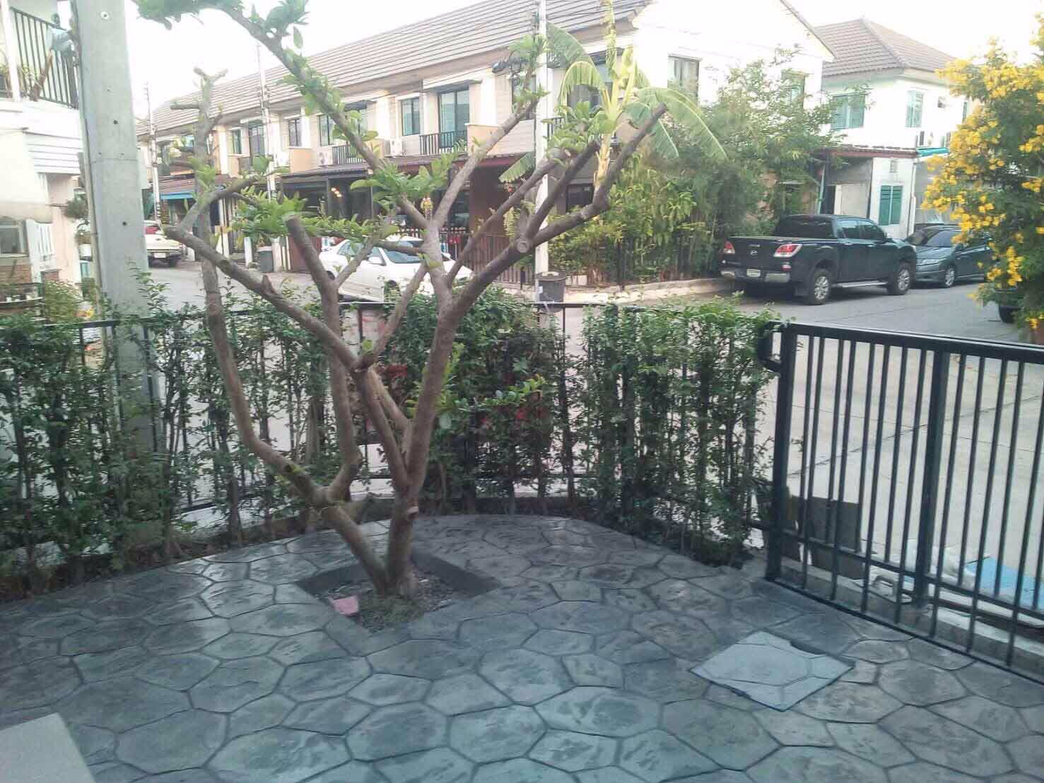 ให้เช่าทาวน์เฮ้าส์-2ชั้น-มพฤกษา79-ลำลูกกาคลอง3-3นอน-2น้ำ-ใกล้โลตัส-เช่า-12000-บ-ด-โทร-093-9594717