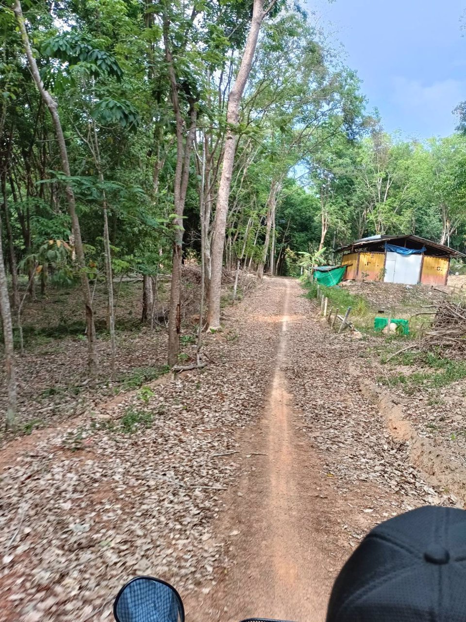 ขายที่ดินบนเกาะยาวน้อย-จพังงา