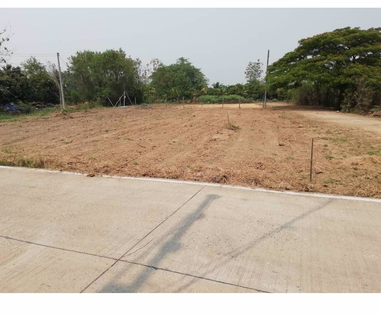 ขายที่ดินสวย-ทำเลดีมากๆ-ติดถนนหลักของชุมชน-ลาดยางดำ-และติดถนนสองด้าน