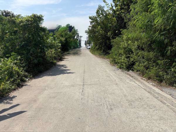 ขายที่ดินเปล่ารูปแปลงสี่เหลี่ยม-393-ตรว-ซอยเฉลิมพระเกียรติ-ร9-48