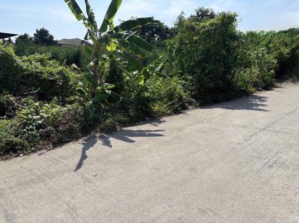 ขายที่ดินเปล่ารูปแปลงสี่เหลี่ยม-393-ตรว-ซอยเฉลิมพระเกียรติ-ร9-48