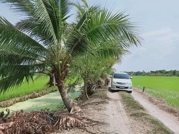 ขายที่ดิน-3-ไร่-ขายยกแปลง-ราคา-3900000-รวมค่าโอนและภาษี-เจ้าของขายเอง-เป็นที่นา-กว้าง-60-ลึก-80