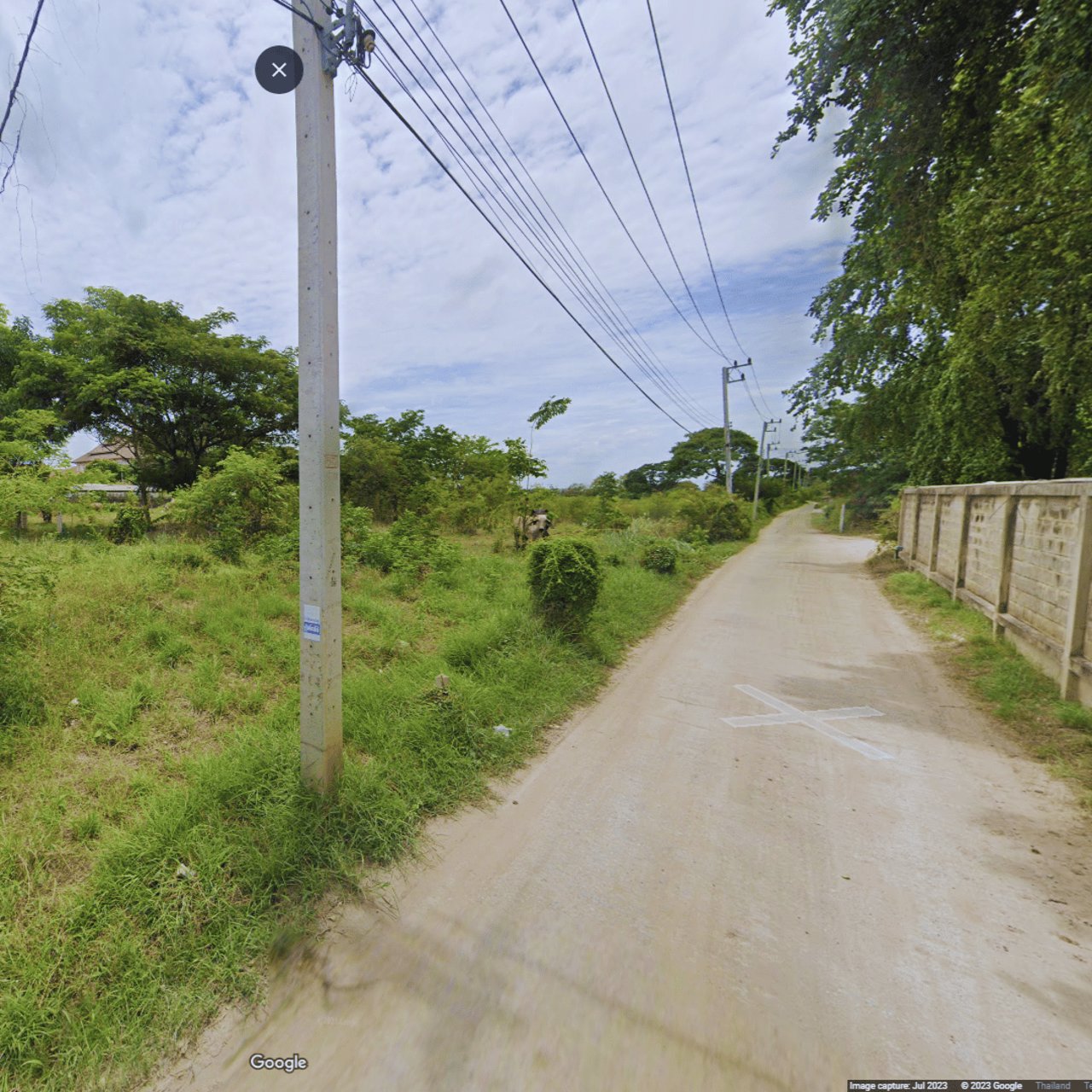 ขายที่ดินติดถนนโพธิ์พระยา-ท่าเรือ-ข้าง-อบจอ่างทอง-9-2-21-ไร่