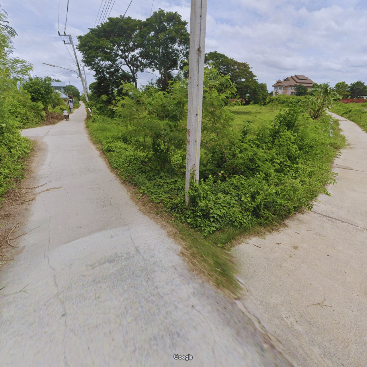 ขายที่ดินติดถนนโพธิ์พระยา-ท่าเรือ-ข้าง-อบจอ่างทอง-9-2-21-ไร่