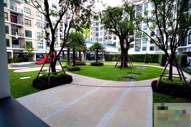 ให้เช่า-6000-ไอ-คอนโด-เพชรเกษม-39-ใกล้ทางด่วน-วงแหวนตะวันตก