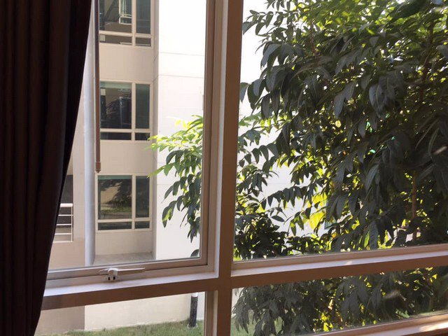 ให้เช่า-12000-คอนโด-elements-srinakarin-แบบห้อง-1-ห้องนอน-1-ห้องน้ำ