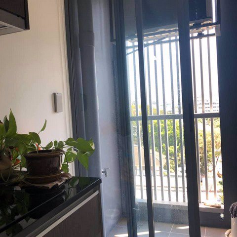 ให้เช่า-11000-โมนีค-สุขุมวิท-64-ใกล้รถไฟฟ้า-bts-ปุณณวิถี