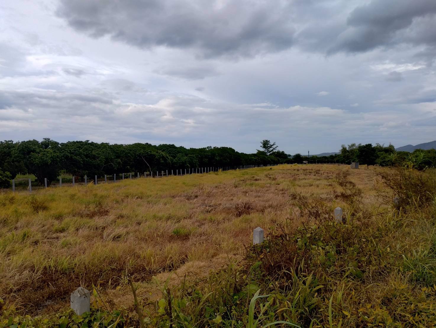 ที่ดินวิวดอย-แหล่งธรรมชาติ-ติดคลองชลประทาน-อบ้านโฮ่ง-จลำพูน