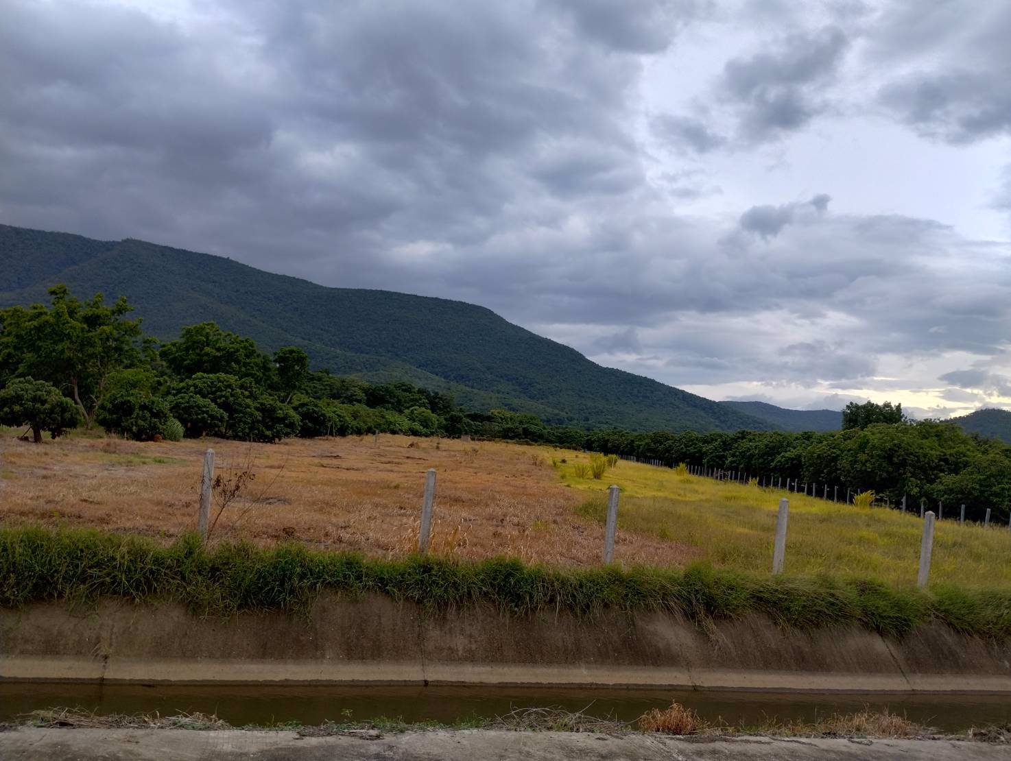 ที่ดินวิวดอย-แหล่งธรรมชาติ-ติดคลองชลประทาน-อบ้านโฮ่ง-จลำพูน