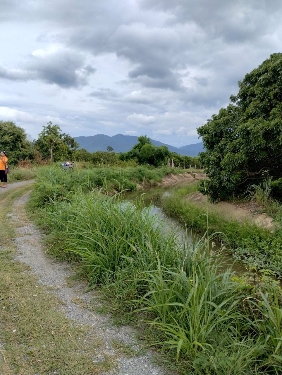 ที่ดินวิวดอย-แหล่งธรรมชาติ-ติดคลองชลประทาน-อบ้านโฮ่ง-จลำพูน