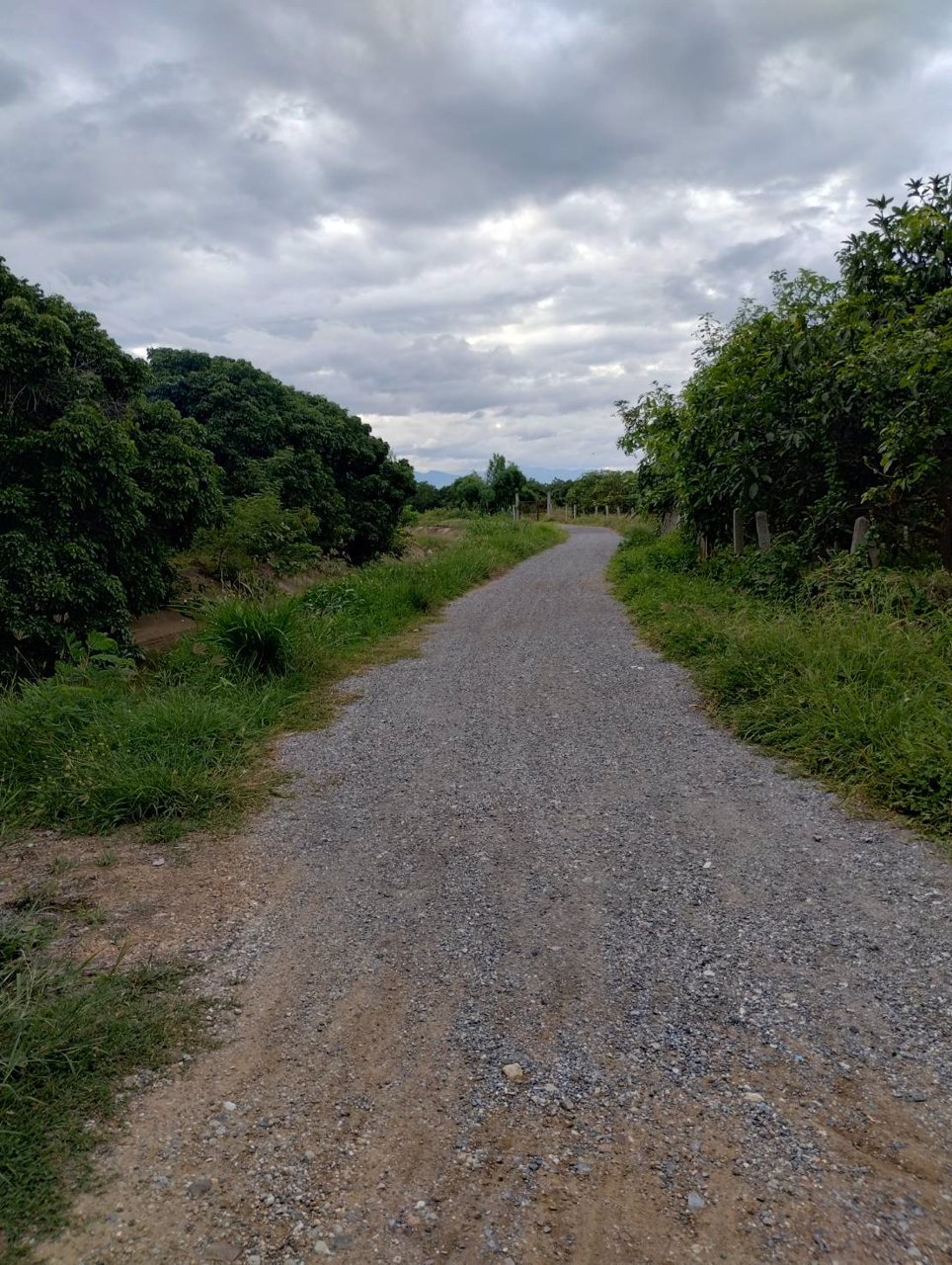 ที่ดินวิวดอย-แหล่งธรรมชาติ-ติดคลองชลประทาน-อบ้านโฮ่ง-จลำพูน