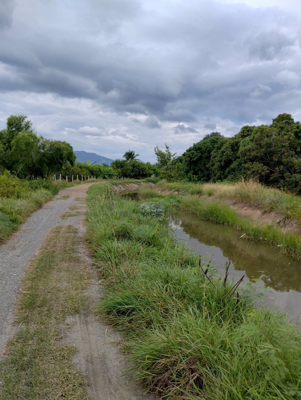 ที่ดินวิวดอย-แหล่งธรรมชาติ-ติดคลองชลประทาน-อบ้านโฮ่ง-จลำพูน