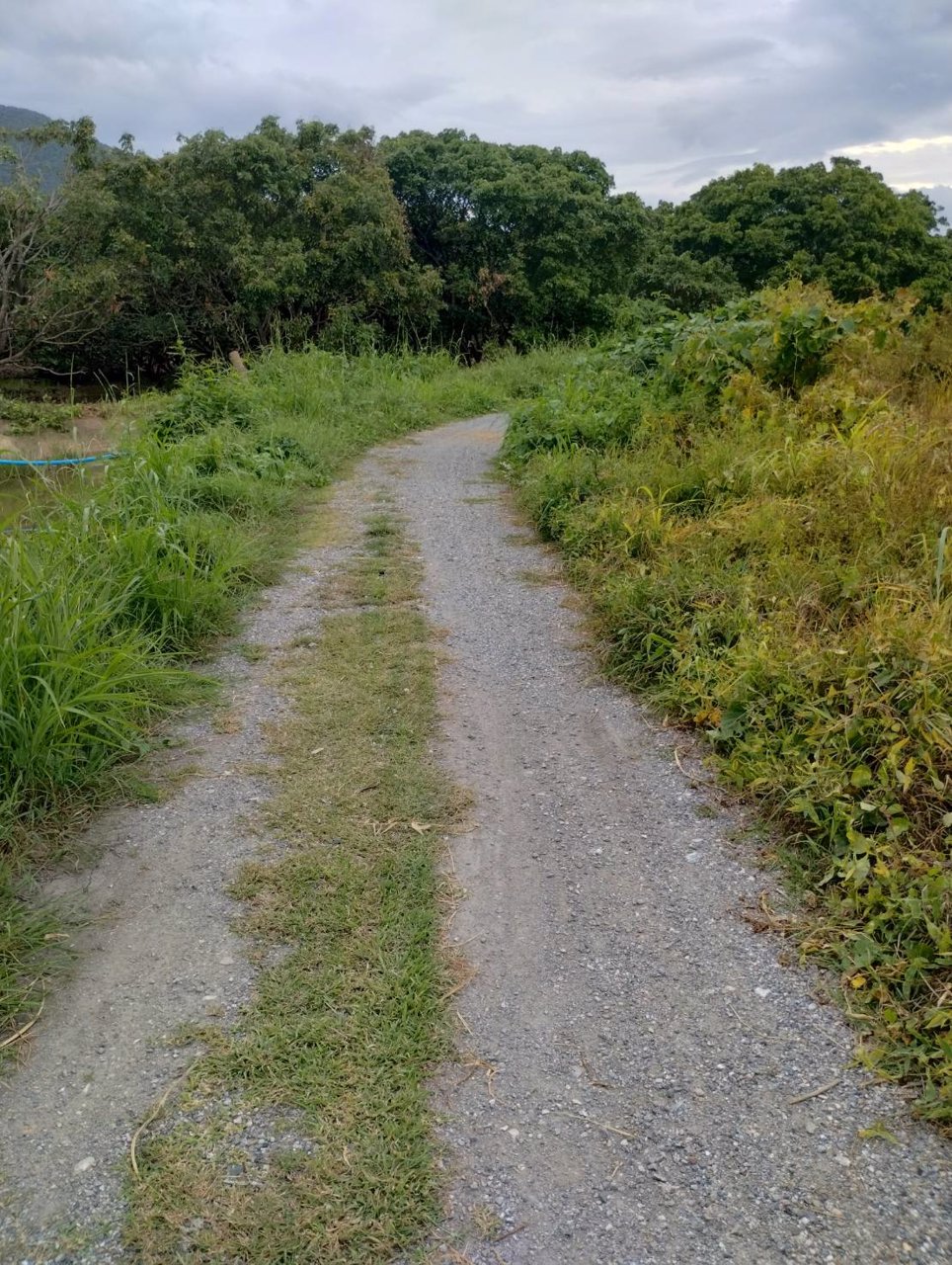 ที่ดินวิวดอย-แหล่งธรรมชาติ-ติดคลองชลประทาน-อบ้านโฮ่ง-จลำพูน