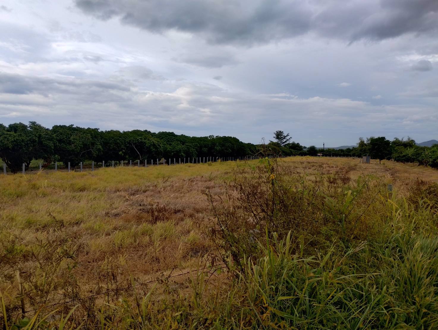 ที่ดินวิวดอย-แหล่งธรรมชาติ-ติดคลองชลประทาน-อบ้านโฮ่ง-จลำพูน