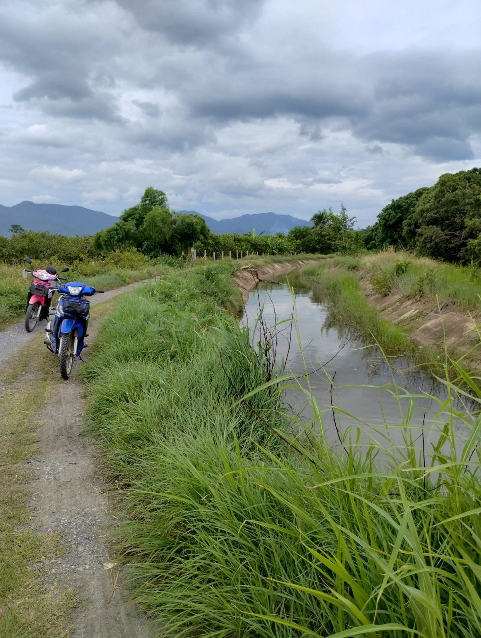 ที่ดินวิวดอย-แหล่งธรรมชาติ-ติดคลองชลประทาน-อบ้านโฮ่ง-จลำพูน