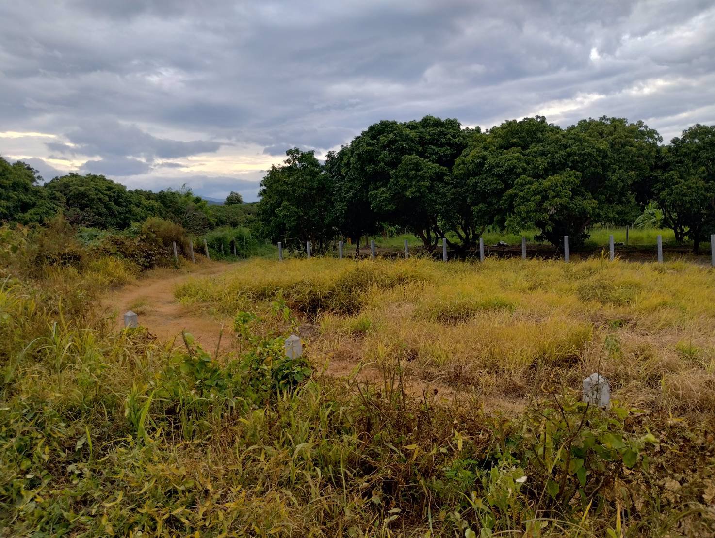 ที่ดินวิวดอย-แหล่งธรรมชาติ-ติดคลองชลประทาน-อบ้านโฮ่ง-จลำพูน