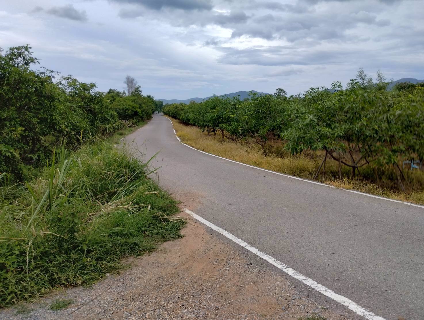 ที่ดินวิวดอย-แหล่งธรรมชาติ-ติดคลองชลประทาน-อบ้านโฮ่ง-จลำพูน