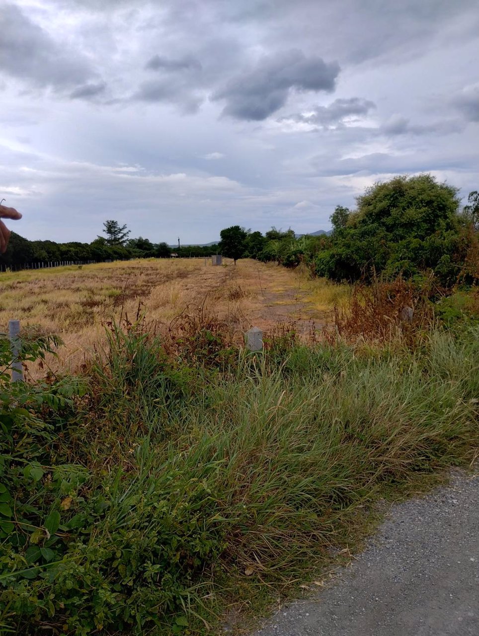 ที่ดินวิวดอย-แหล่งธรรมชาติ-ติดคลองชลประทาน-อบ้านโฮ่ง-จลำพูน