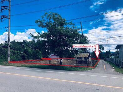 ขายที่ดินด้านหน้าติดถนนหลักสายลำปาง-แจ้ห่ม