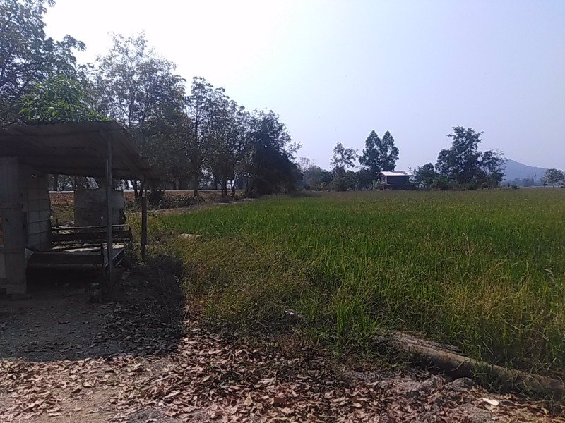 ที่ดินเปล่า50กว่าไร่-ห่าง4แยกซอย9ไม่ถึงกิโล-ติดถนน2สาย