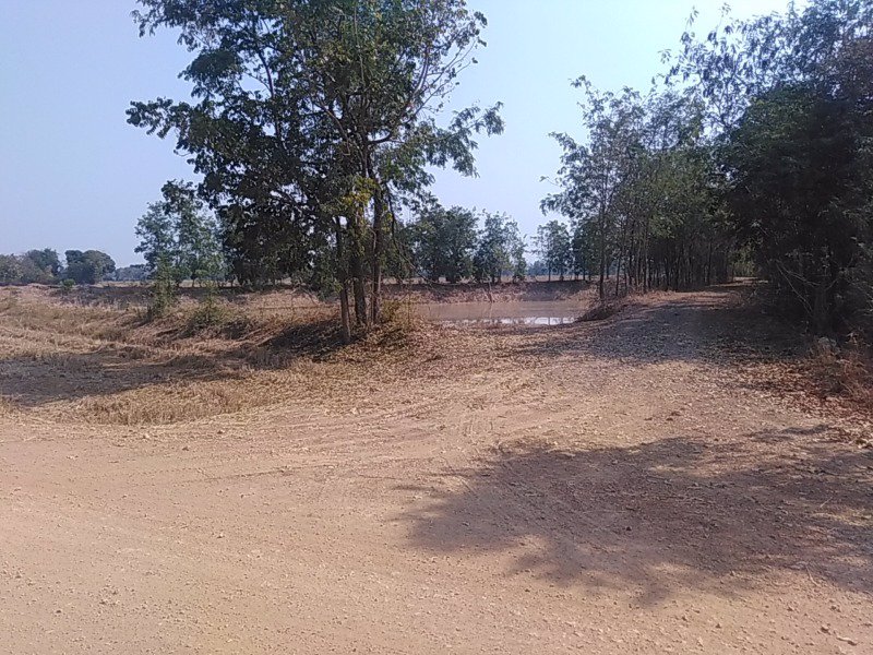 ที่ดินเปล่า50กว่าไร่-ห่าง4แยกซอย9ไม่ถึงกิโล-ติดถนน2สาย