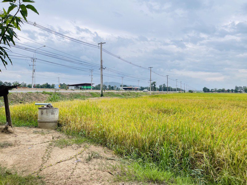 ที่ดินเปล่า-9ไร่-2งาน-99ตารางวา-ติดถนน-4เลน-สวรรคโลก-ทุ่งเสลี่ยม