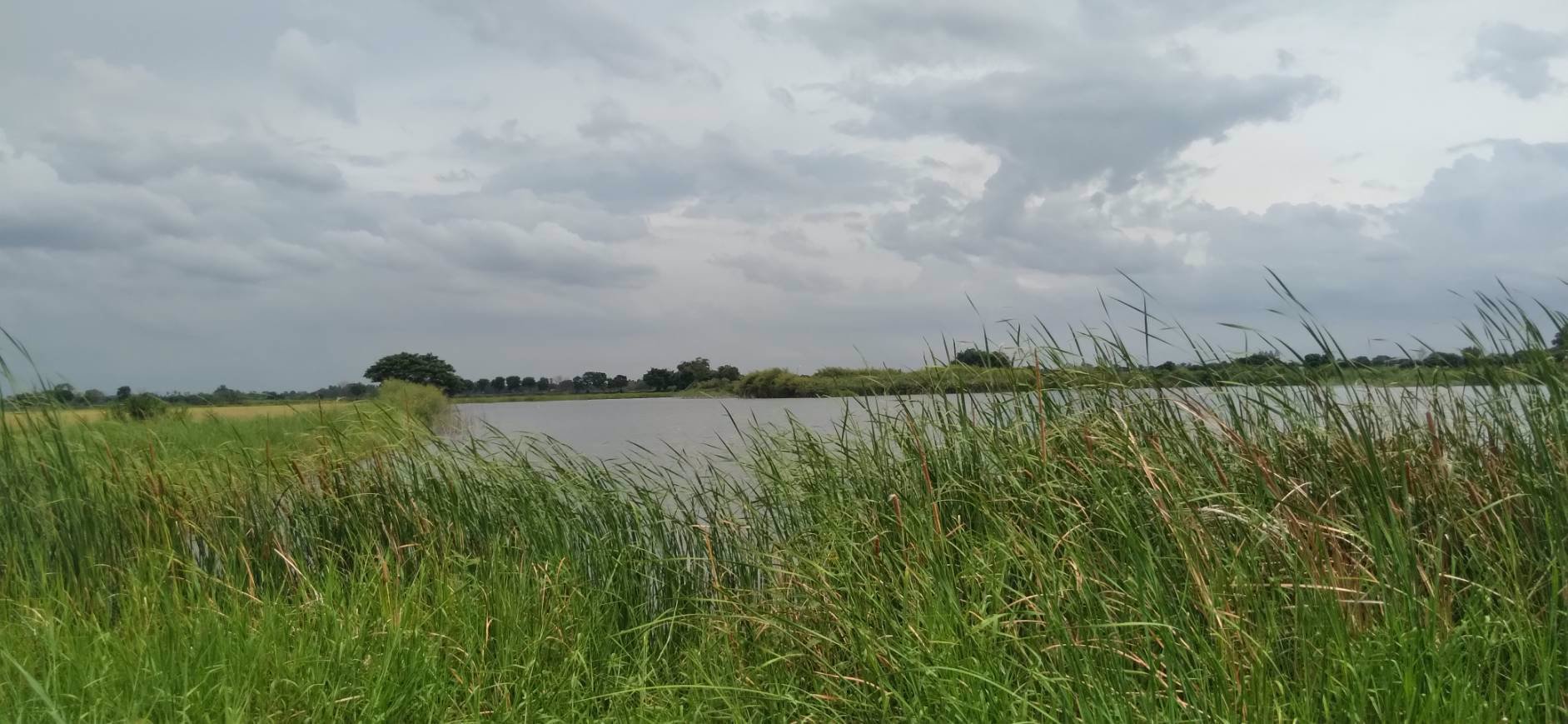 ขายด่วนที่บ่อดินเก่า-27ไร่-บางปลาม้า-สุพรรณบุรี