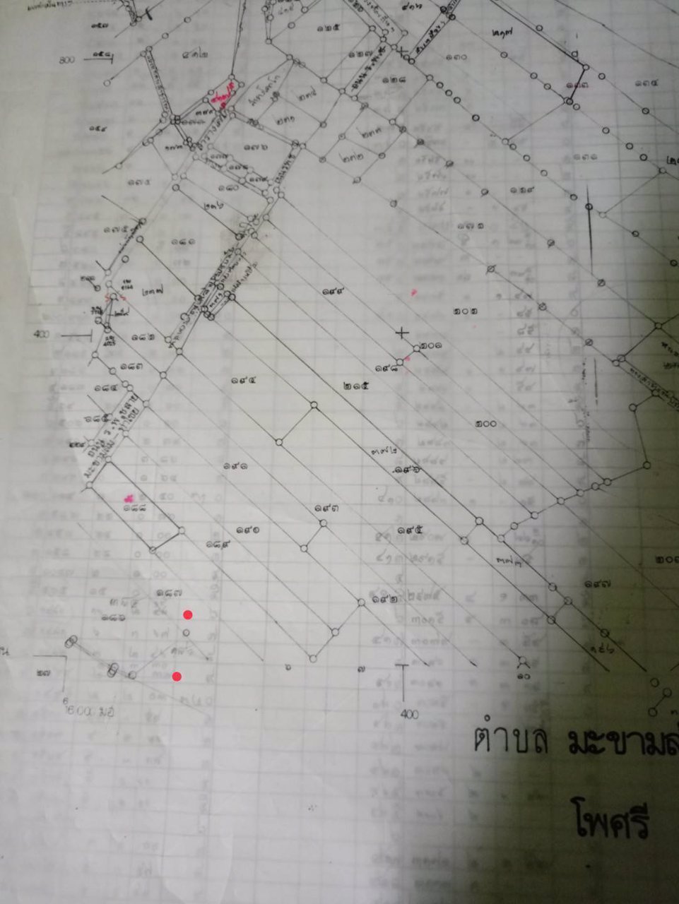 ขายด่วนที่บ่อดินเก่า-27ไร่-บางปลาม้า-สุพรรณบุรี