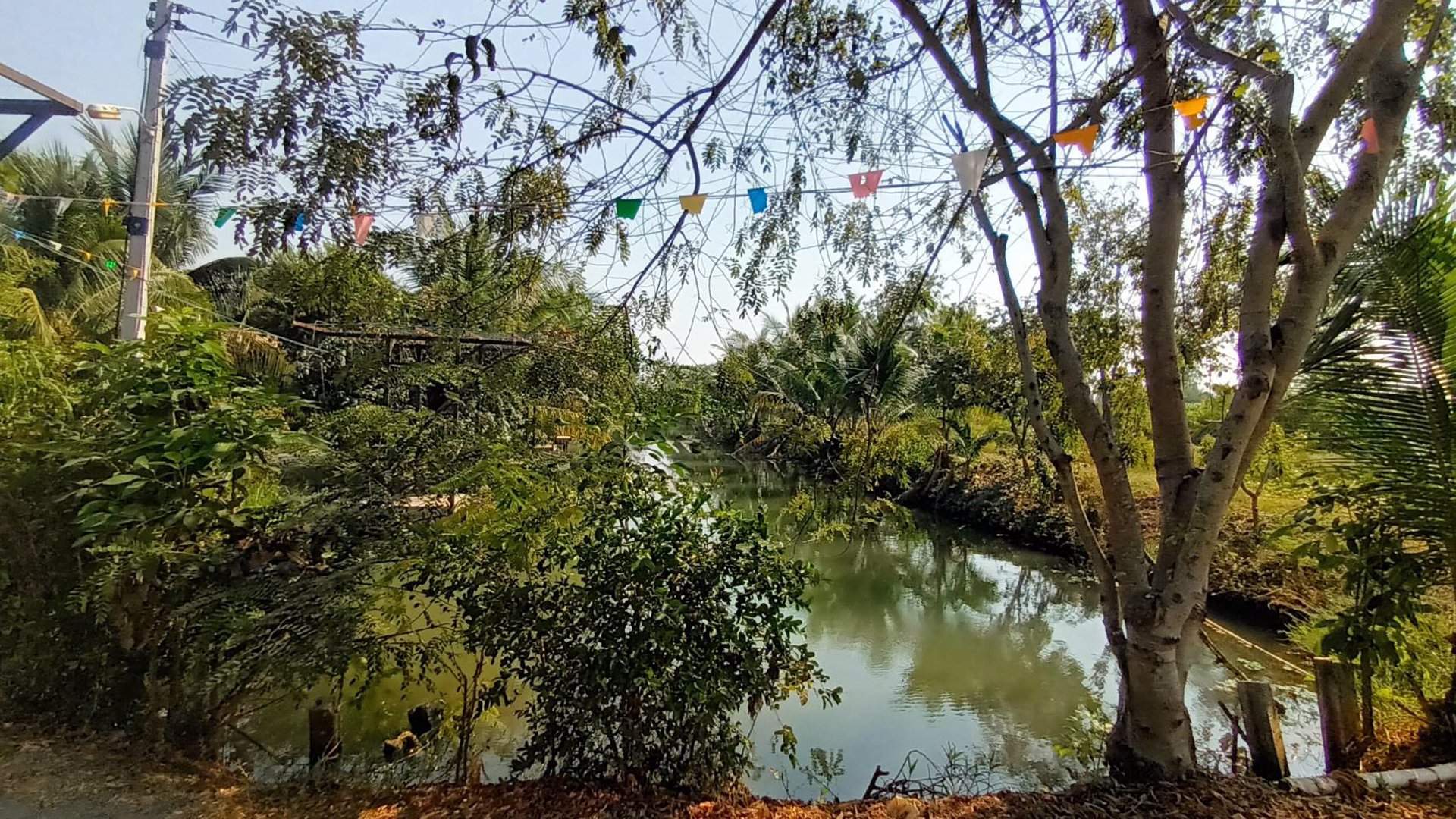 ขายบ้าน-2-หลัง-พร้อมที่ดิน-3-ไร่