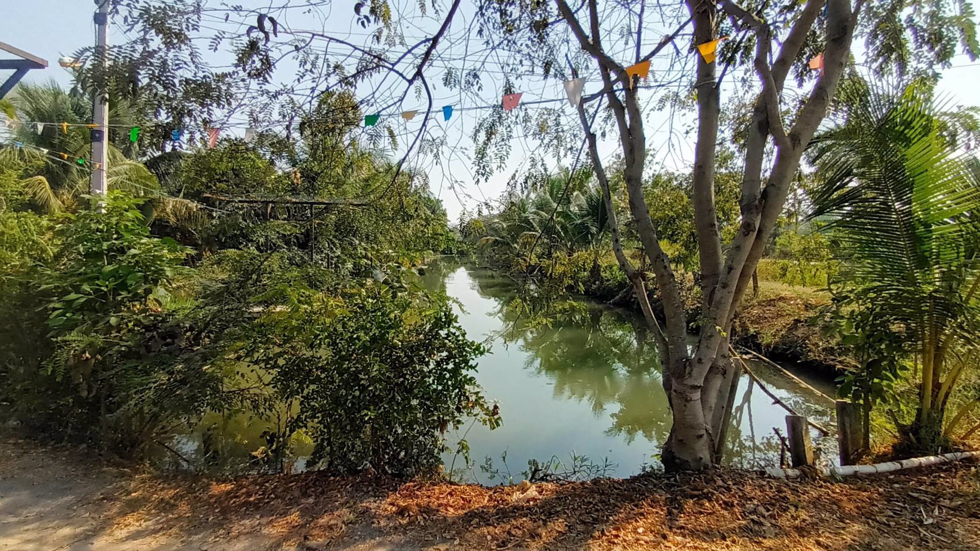 ขายบ้าน-2-หลัง-พร้อมที่ดิน-3-ไร่