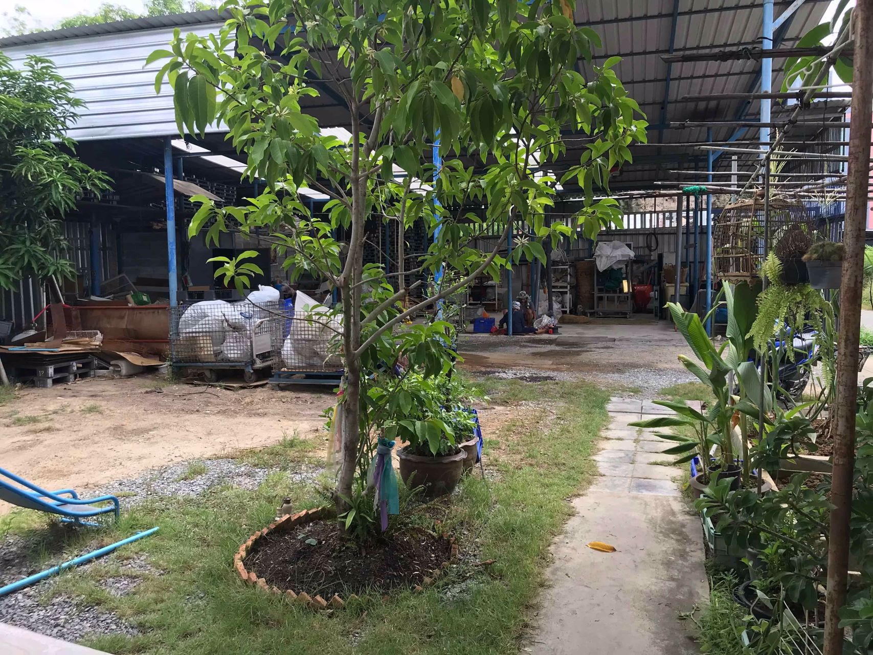 ขายที่ดินพร้อมโกดัง-100ตรว-ที่ดินถมแล้วเทปูนแล้วครึ่งหนึ่ง