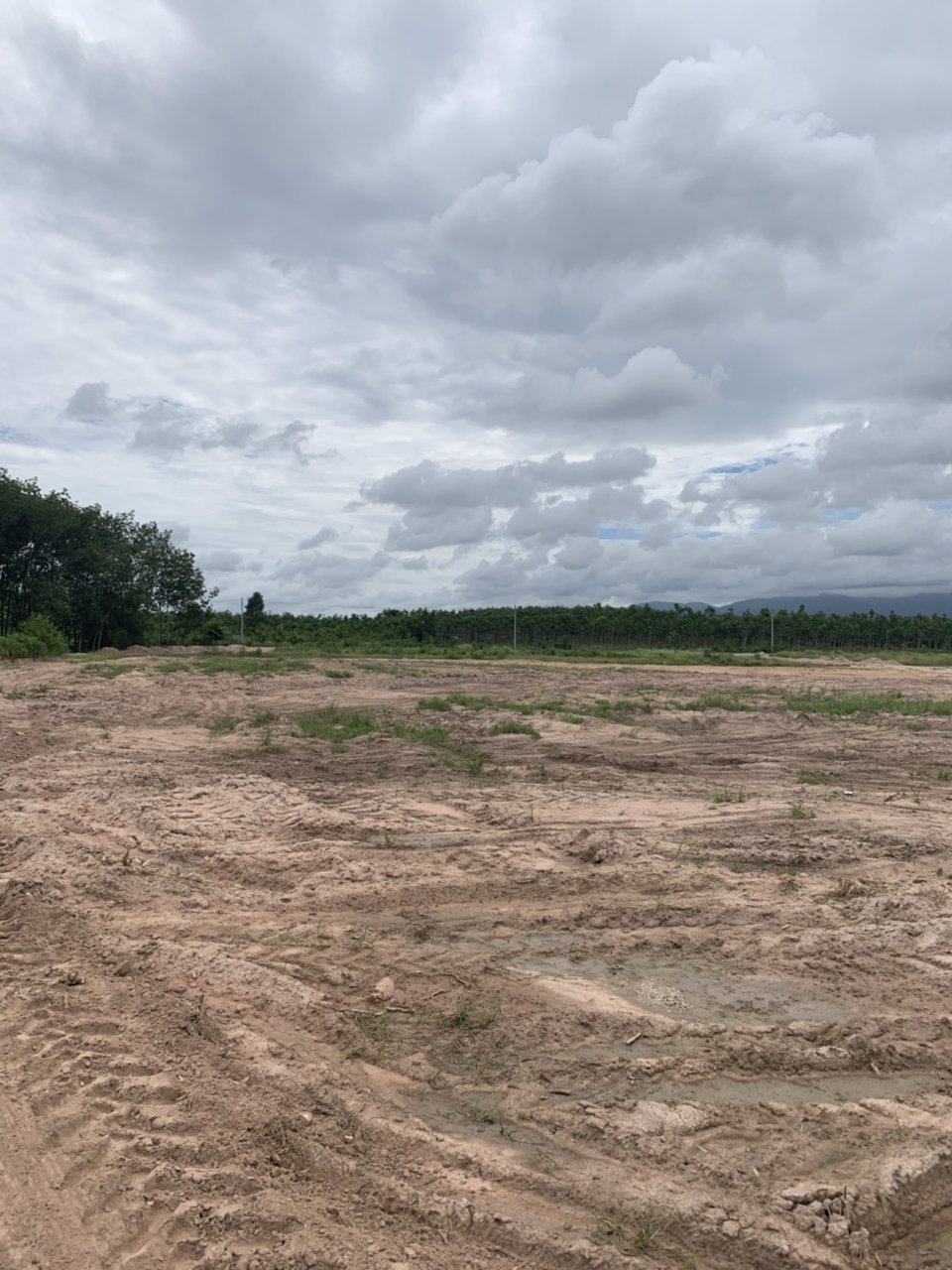 ขายที่ดินเปล่า-แปลงละ-2-ไร่ๆละ-495000-อยู่ในแหล่งชุมชน-ไฟฟ้า-ประปาพร้อม