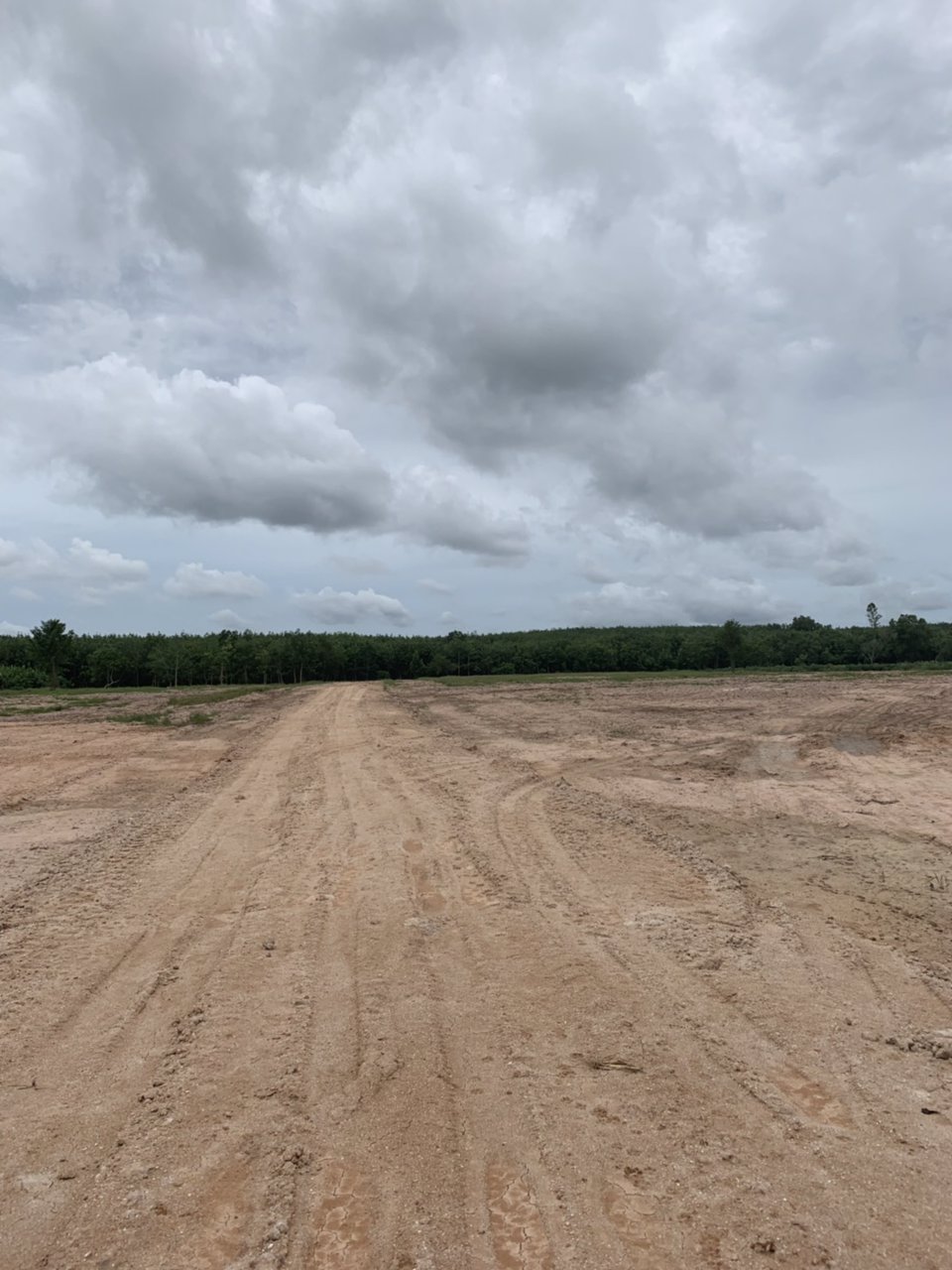 ขายที่ดินเปล่า-แปลงละ-2-ไร่ๆละ-495000-อยู่ในแหล่งชุมชน-ไฟฟ้า-ประปาพร้อม