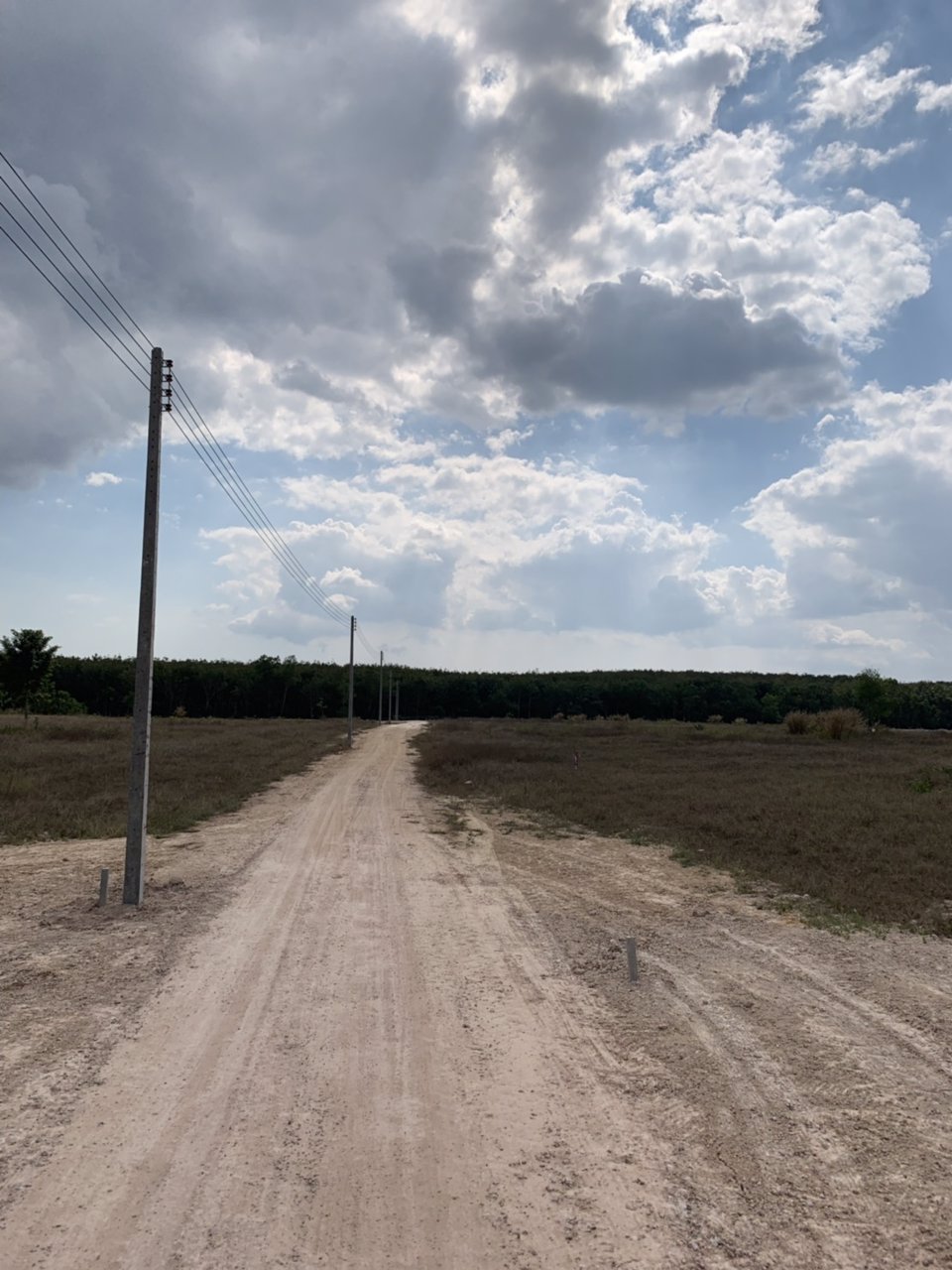 ขายที่ดินเปล่า-แปลงละ-2-ไร่ๆละ-495000-อยู่ในแหล่งชุมชน-ไฟฟ้า-ประปาพร้อม