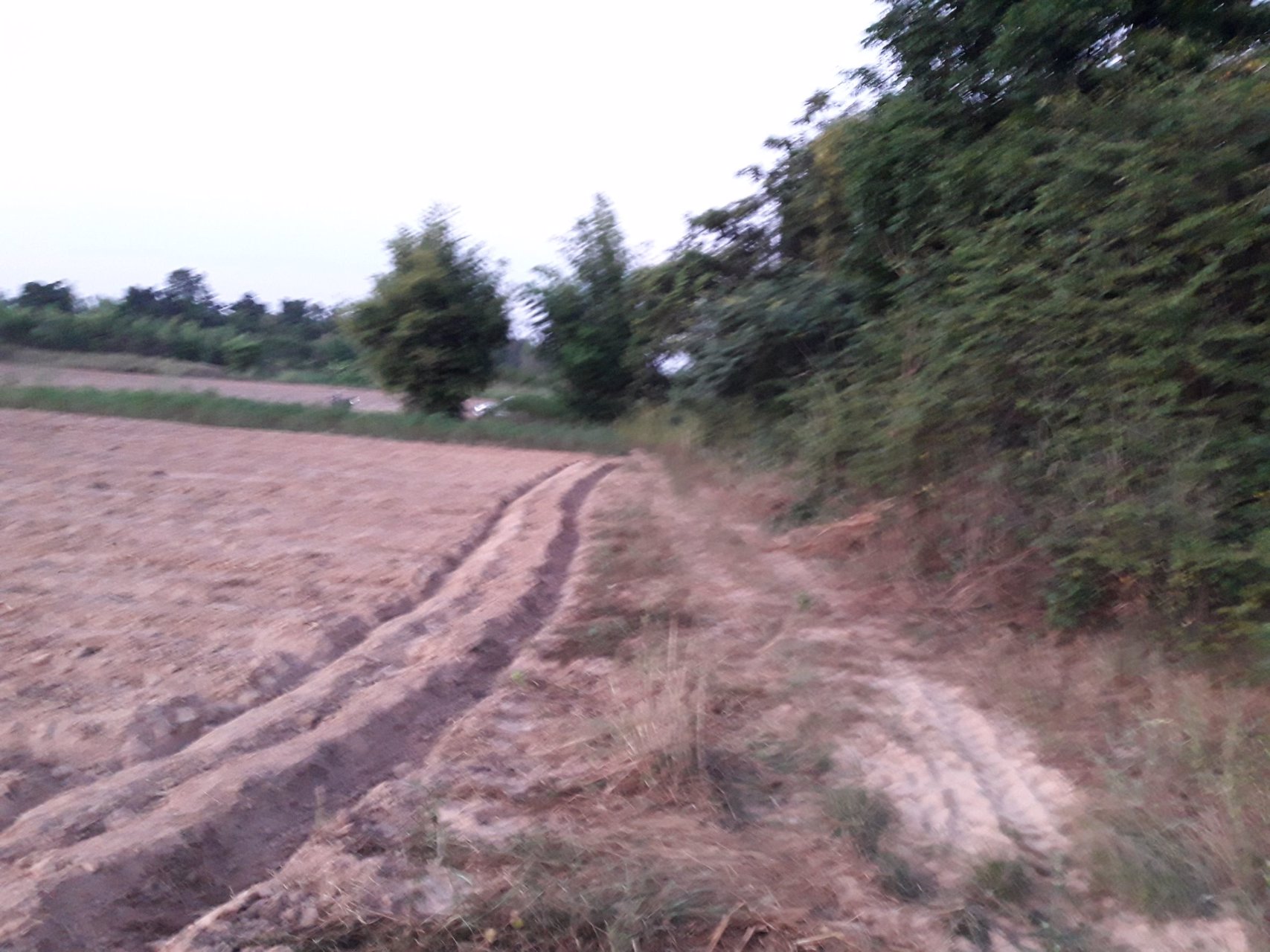 ขายที่ดิน-17-ไร่-564-ตรว-โฉนดเลขที่-87882-จังหวัดอุดรธานี