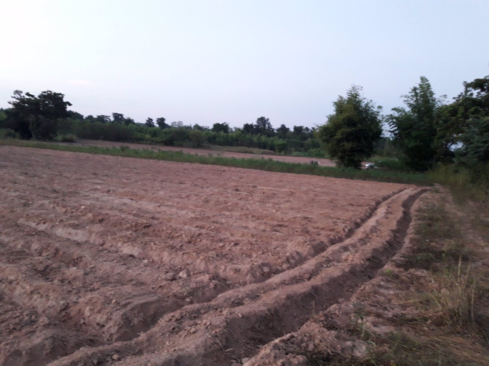 ขายที่ดิน-17-ไร่-564-ตรว-โฉนดเลขที่-87882-จังหวัดอุดรธานี