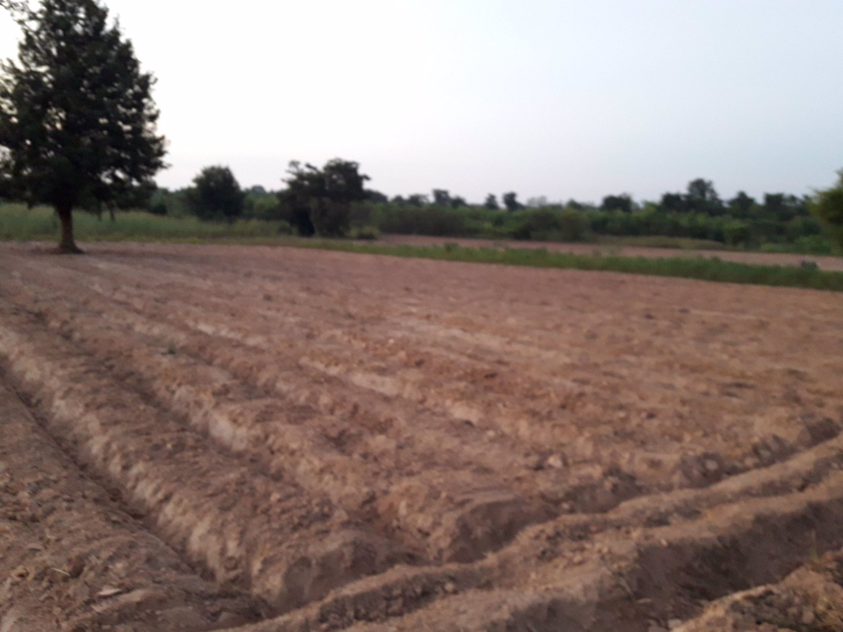 ขายที่ดิน-17-ไร่-564-ตรว-โฉนดเลขที่-87882-จังหวัดอุดรธานี