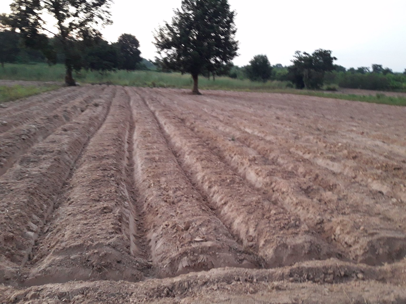 ขายที่ดิน-17-ไร่-564-ตรว-โฉนดเลขที่-87882-จังหวัดอุดรธานี