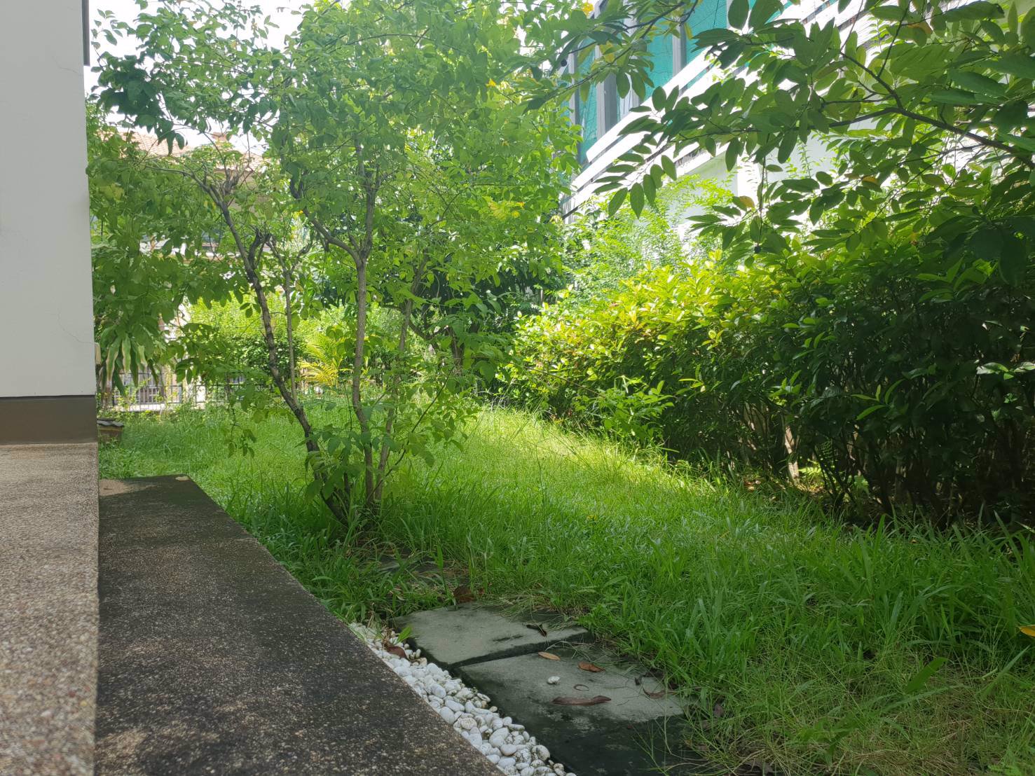 ขายบ้านบุราสิริ-ราชพฤกษ์-แจ้งวัฒนะ-บ้านมุม-ทำเลดี-ราคาถูกที่สุด-พร้อมอยู่