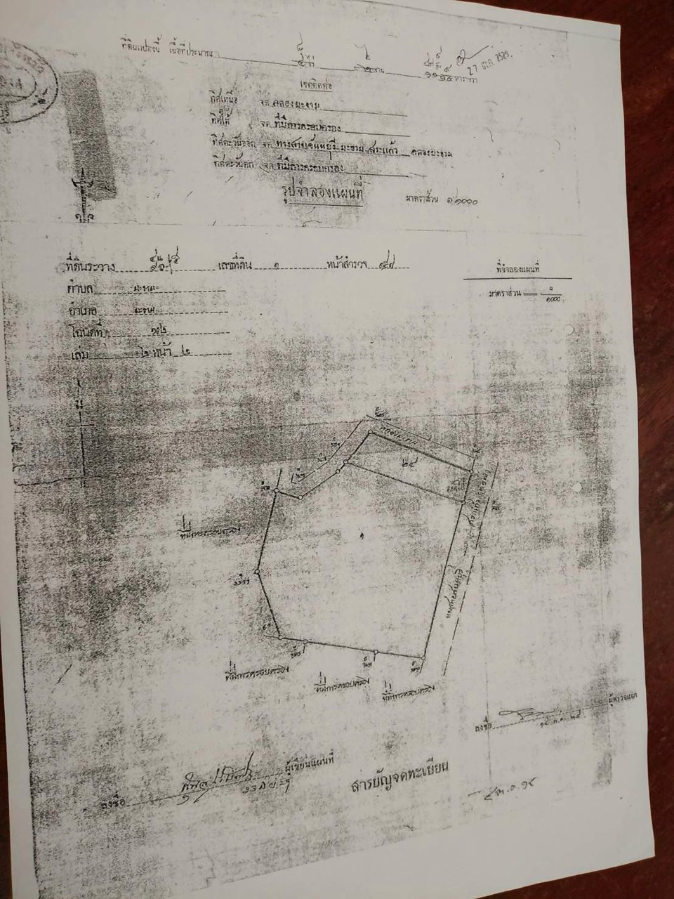 ขายที่ดินเนื้อที่-42-ไร่-ติดถนนทางหลวงหมายเลข-317-จันทบุรี-สระแก้ว-
