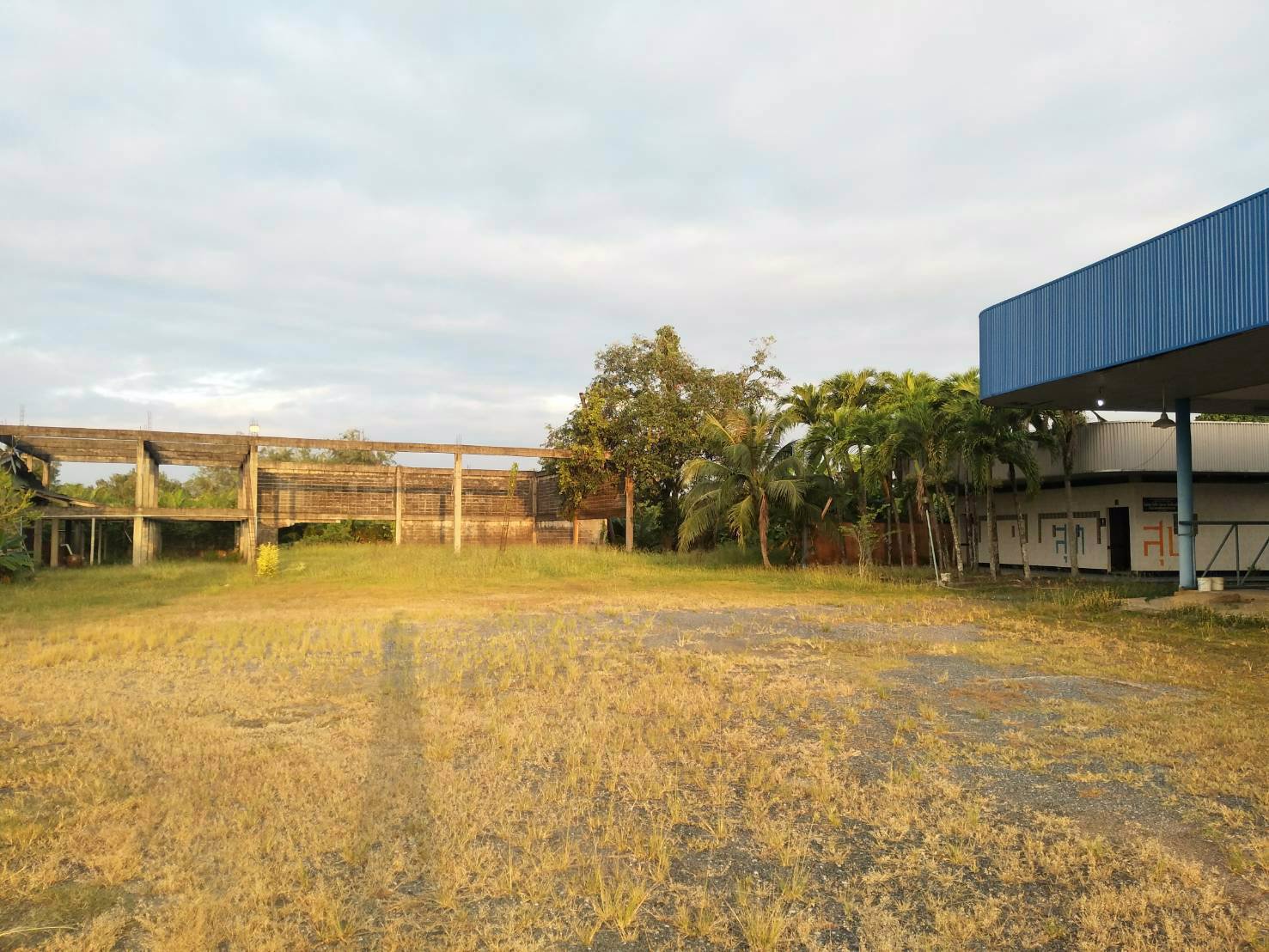 ขายที่ดินเนื้อที่-42-ไร่-ติดถนนทางหลวงหมายเลข-317-จันทบุรี-สระแก้ว-