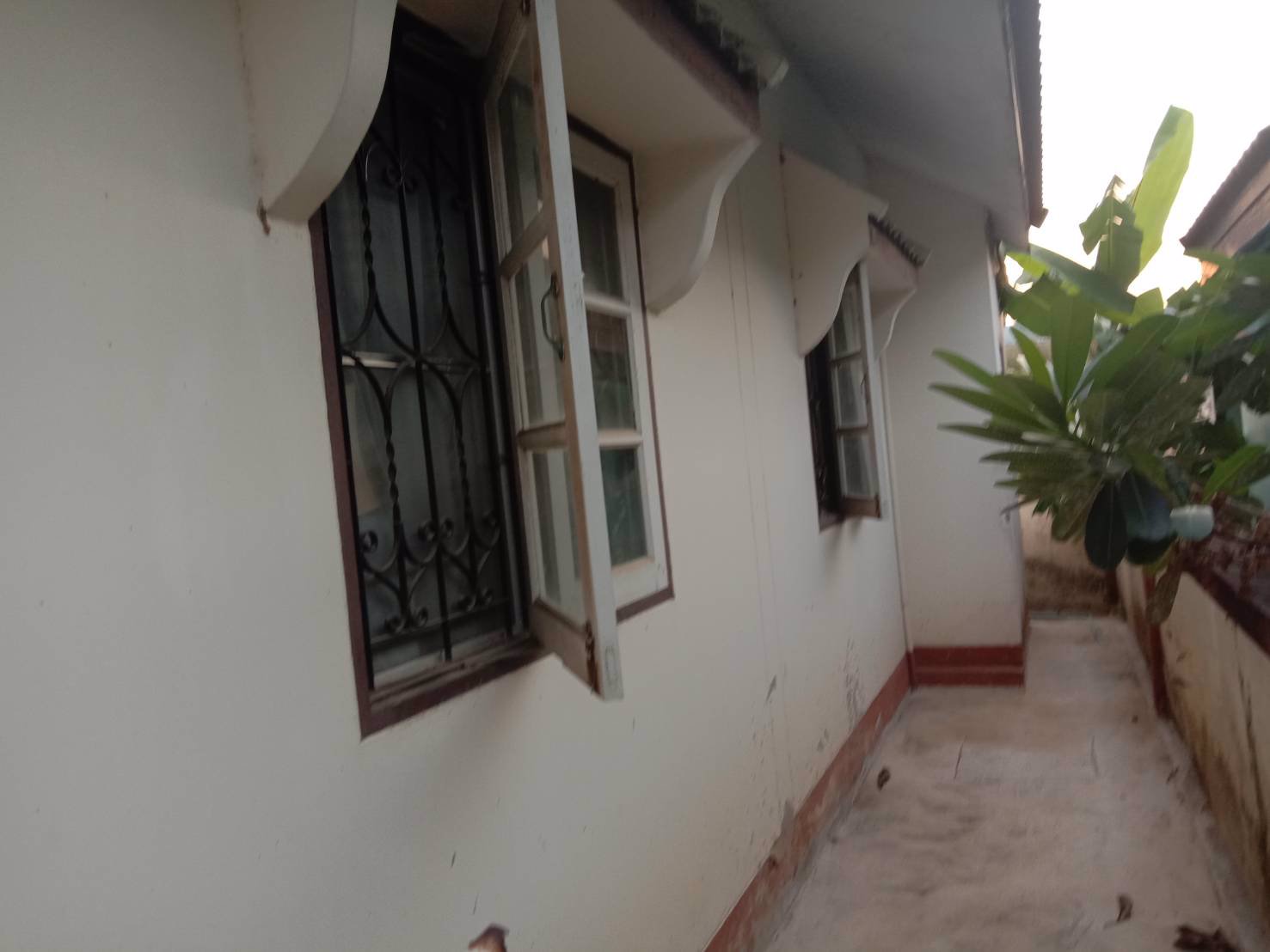 ขายบ้านเดี่ยว-หมู่บ้านธัญพิชาพาร์ควิล