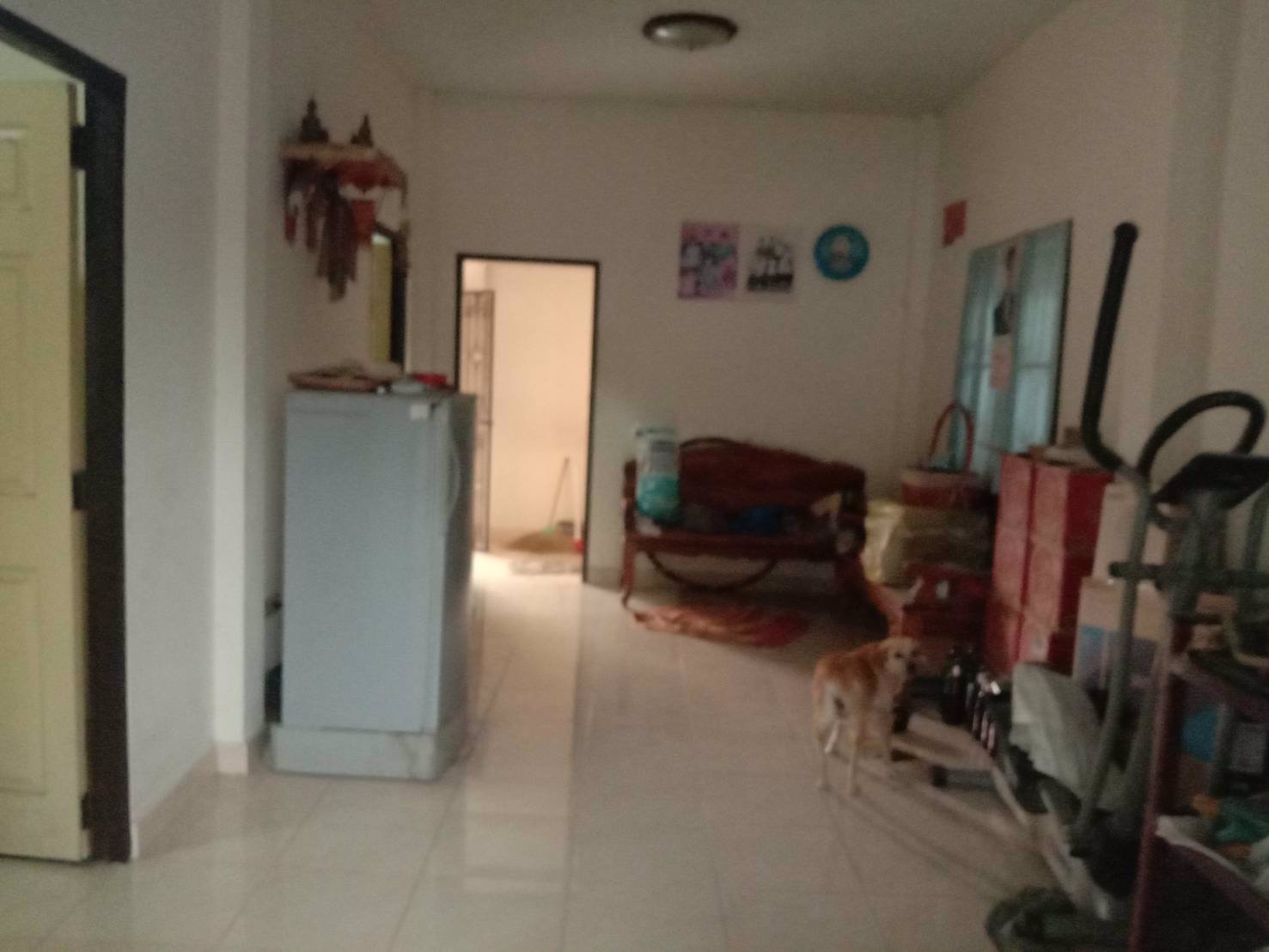 ขายบ้านเดี่ยว-หมู่บ้านธัญพิชาพาร์ควิล