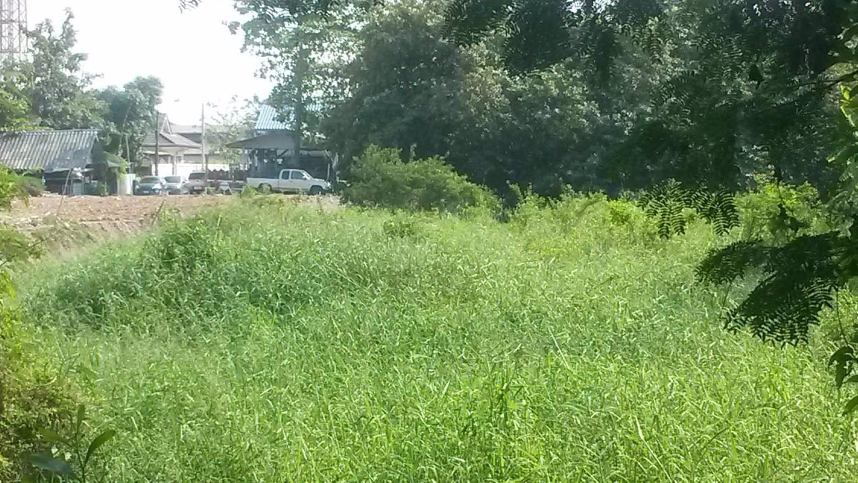 ขายที่ดิน-12-ไร่กว่า-ราคาไร่ละ-12-ล้านบาท-แถวดอนเมือง-สะพานใหม่-ตลาดยิ่งเจริญ