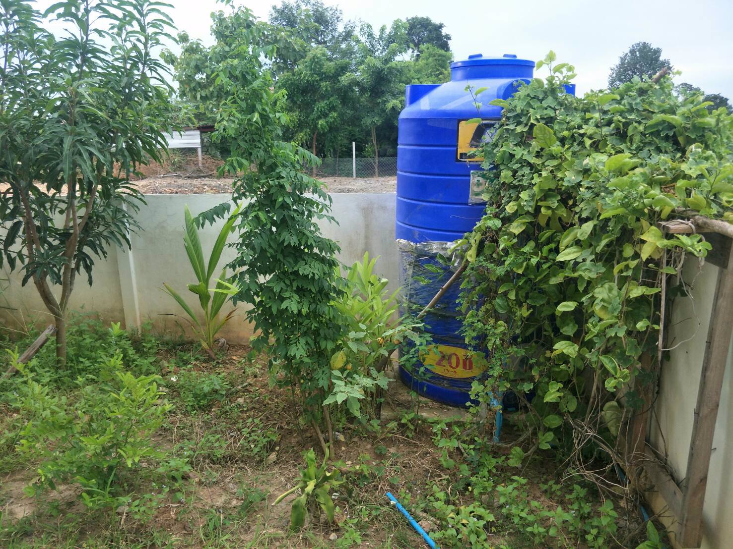 ขายดาวน์-บ้านเดี่ยว-จฉะเชิงเทรา