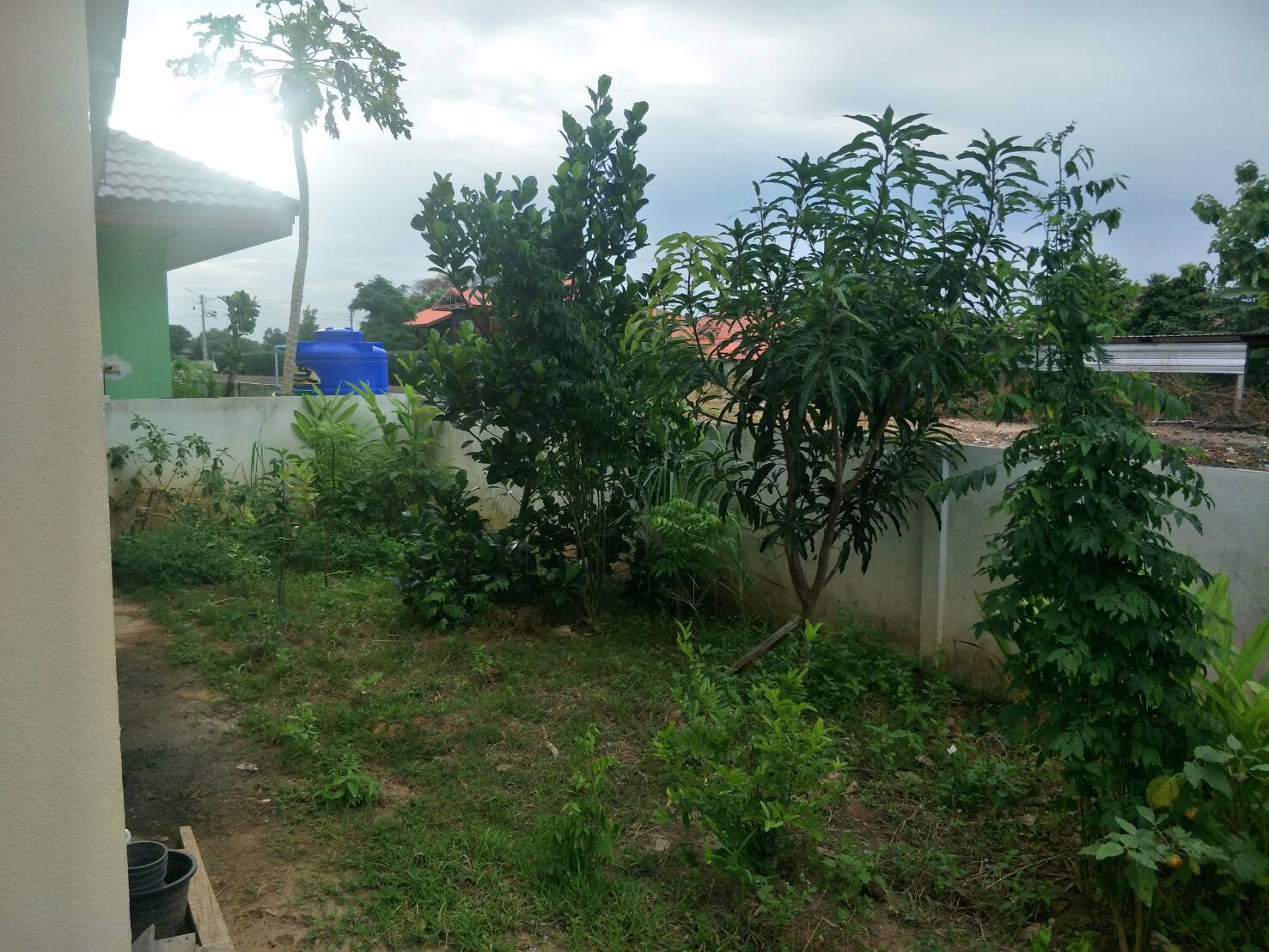 ขายดาวน์-บ้านเดี่ยว-จฉะเชิงเทรา