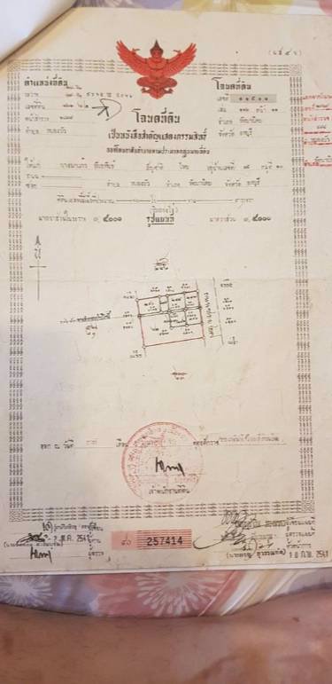 ขายที่ดินถมดินแล้วพร้อมบ้านพักคนงาน-9ห้อง-นอน-9ห้องน้ำ