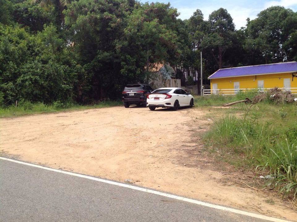 ขายที่ดินนาจอมเทียน-ซอย-38-2-ฝั่งทะเล-เนื้อที่-99-ตรวหน้ากว้าง-195-เมตร-ลึก-20-เมตร